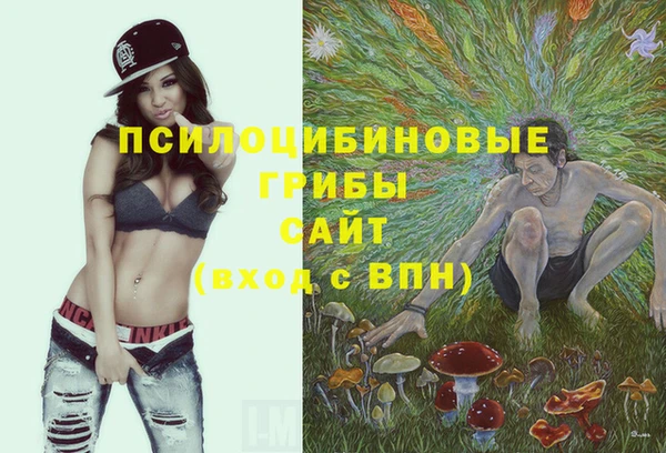марки nbome Кодинск