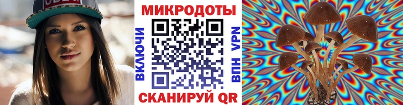 Галлюциногенные грибы мухоморы Тихвин