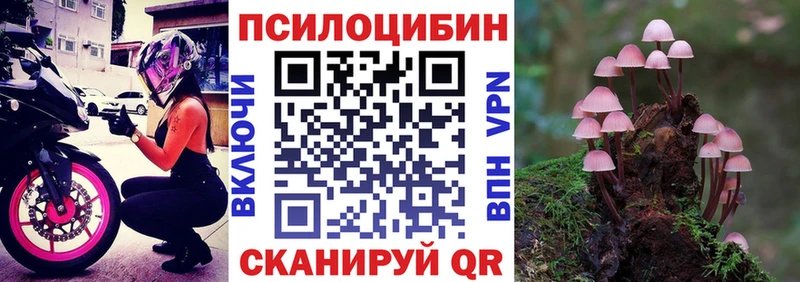 хочу   Тихвин  Галлюциногенные грибы Psilocybine cubensis 
